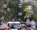 'Bubbles' by Kristopher Swanson